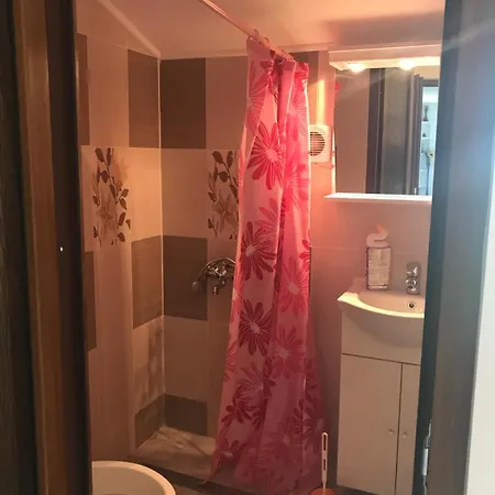 Casa Croitoru Guest house