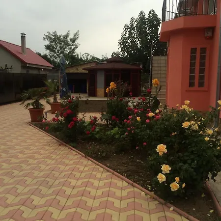 Guest house Casa Croitoru