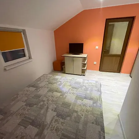 Guest house Casa Croitoru *